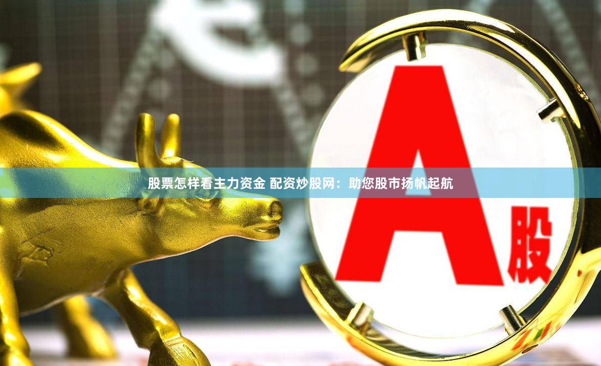 股票怎樣看主力資金 配資炒股網(wǎng)：助您股市揚(yáng)帆起航
