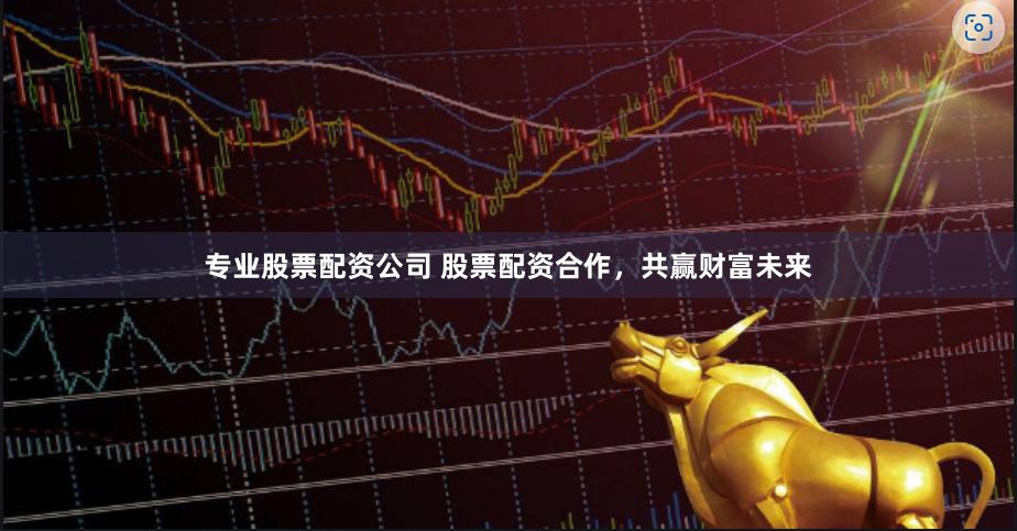 專業(yè)股票配資公司 股票配資合作，共贏財富未來